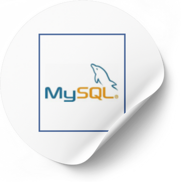 mysql database